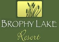 Logo for Brophy Lake Resort on a green background, featuring an illustration of cattails inside a yellow rectangle above the text. "Brophy Lake Resort" is in white and light green script, capturing the natural charm of the destination.