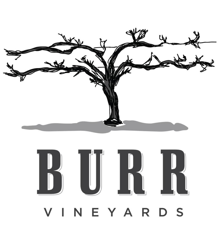 Black and white logo of a leafless grapevine casting a shadow, with the text "BURR VINEYARDS" in bold capital letters beneath—perfectly capturing the timeless elegance of Burr Vineyards.
