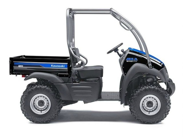 2014 Mule