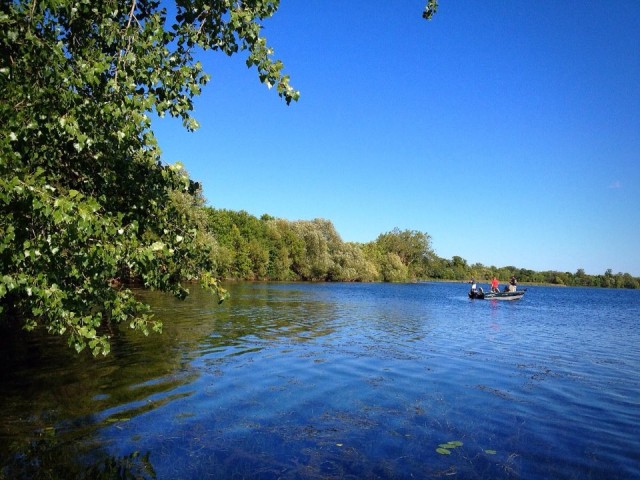 Brophy boat