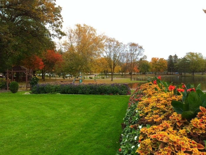 Noonan Fall Flowers - Photo by James Feist