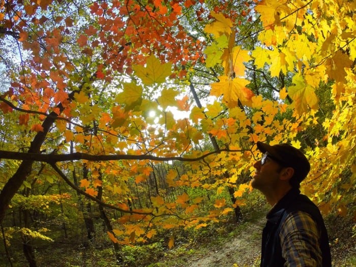 Lake Carlos trail Photo by James Feist