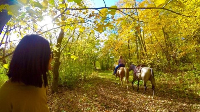 Runestone Horse Fall - Photo by James Feist