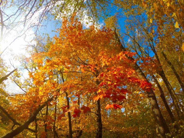 Runestone Park fall 2 - Photo by James Feist