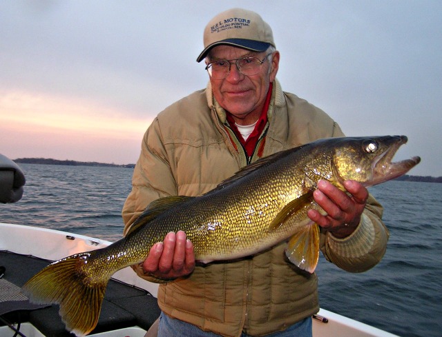 Older man in glasses and a beige jacket stands on a boat, smiling while holding a large fish over the water at sunset, enjoying walleye fishing in Alexandria MN.