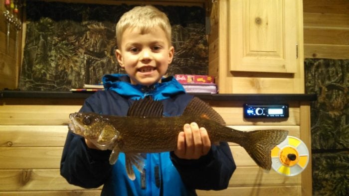 nice-walleye