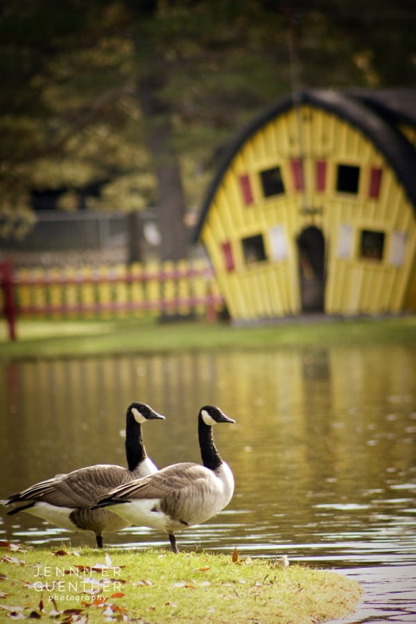 Noonan's Park - Photos of Alexandria MN