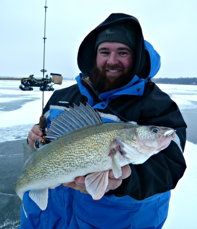 Walleye love jiggin spoons