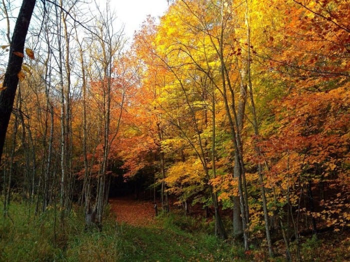 fall carlos cove Photo by James Feist