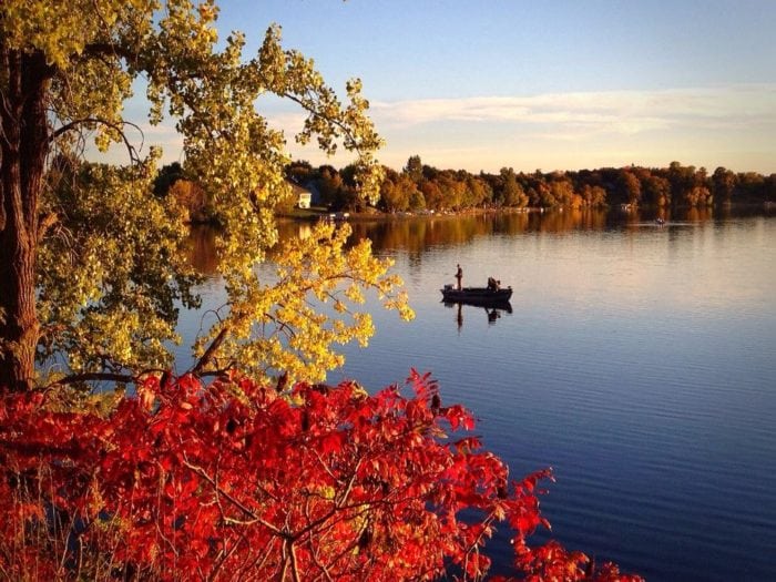 fall fish cowdry - Photo by James Feist