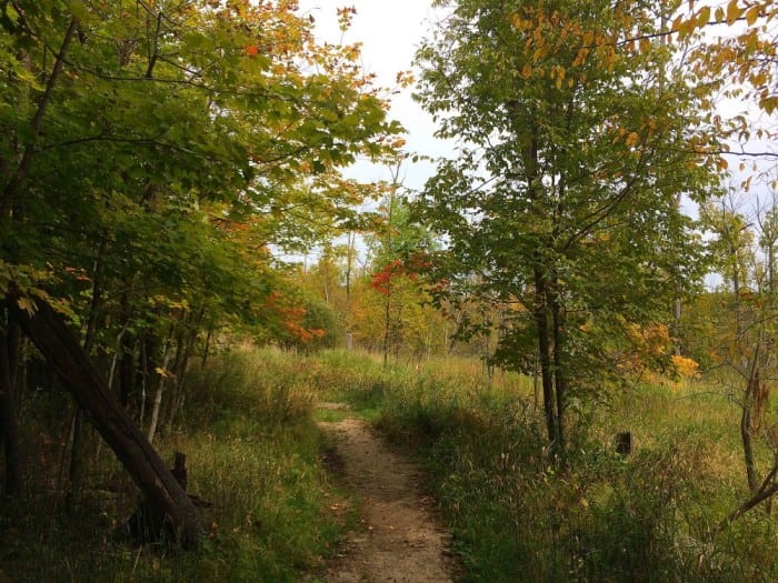 lcsp fall color path