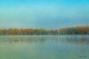 Lake Carlos Fog Shore - Photo by James Feist