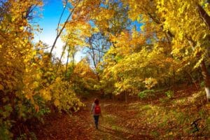 Runestone Park Hike. Photo by James Feist