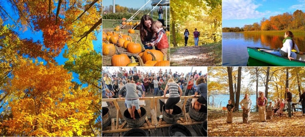 A collage of fall fun in the Alexandria Lakes Area: people picking pumpkins, walking among autumn trees, paddling a canoe on the lake, grape stomping at a festival, and enjoying a lakeside gathering amid vibrant fall foliage.