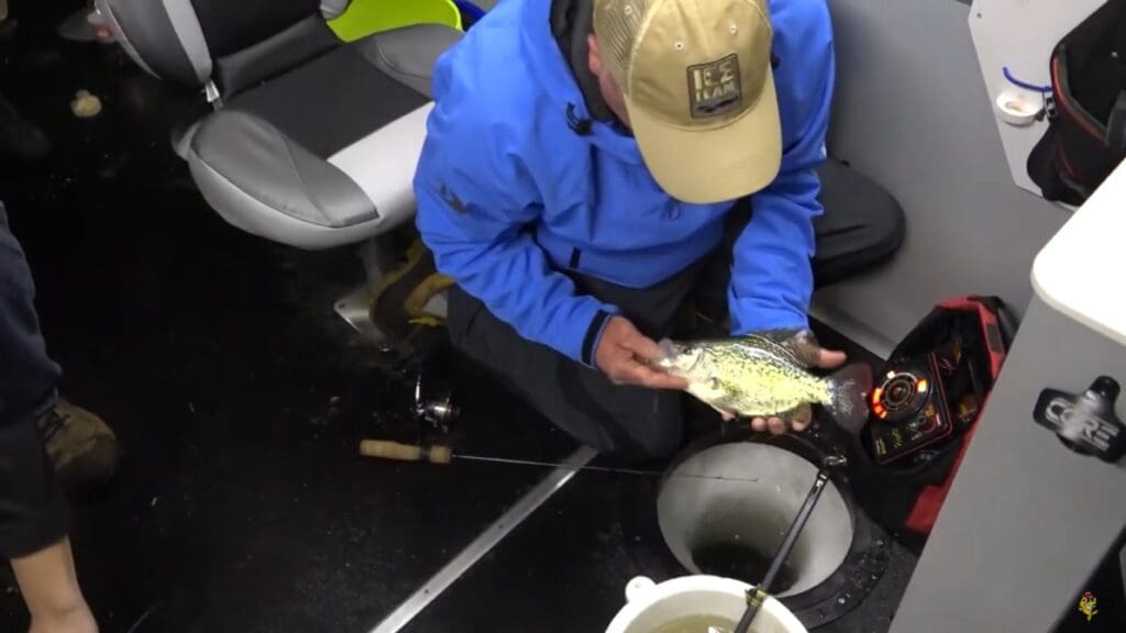 A person in a blue jacket and tan hat, like Mike Frisch, holds a fish while kneeling next to an ice fishing hole inside a shelter, with fishing equipment and a fish finder nearby.