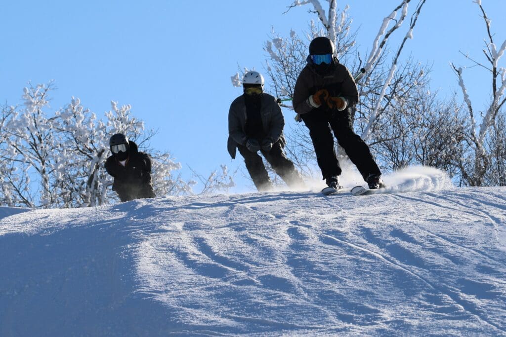 Ski 49