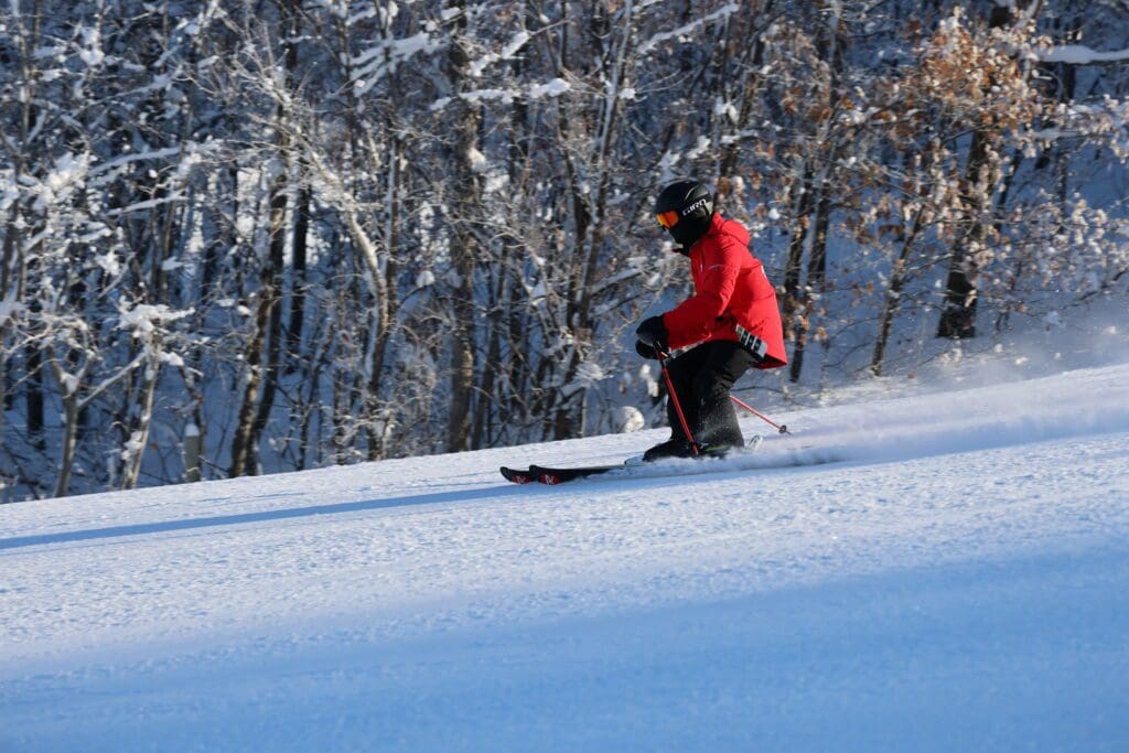 Ski Slalom 48