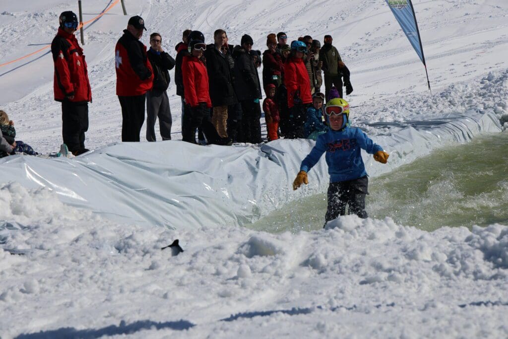 IMG 3195