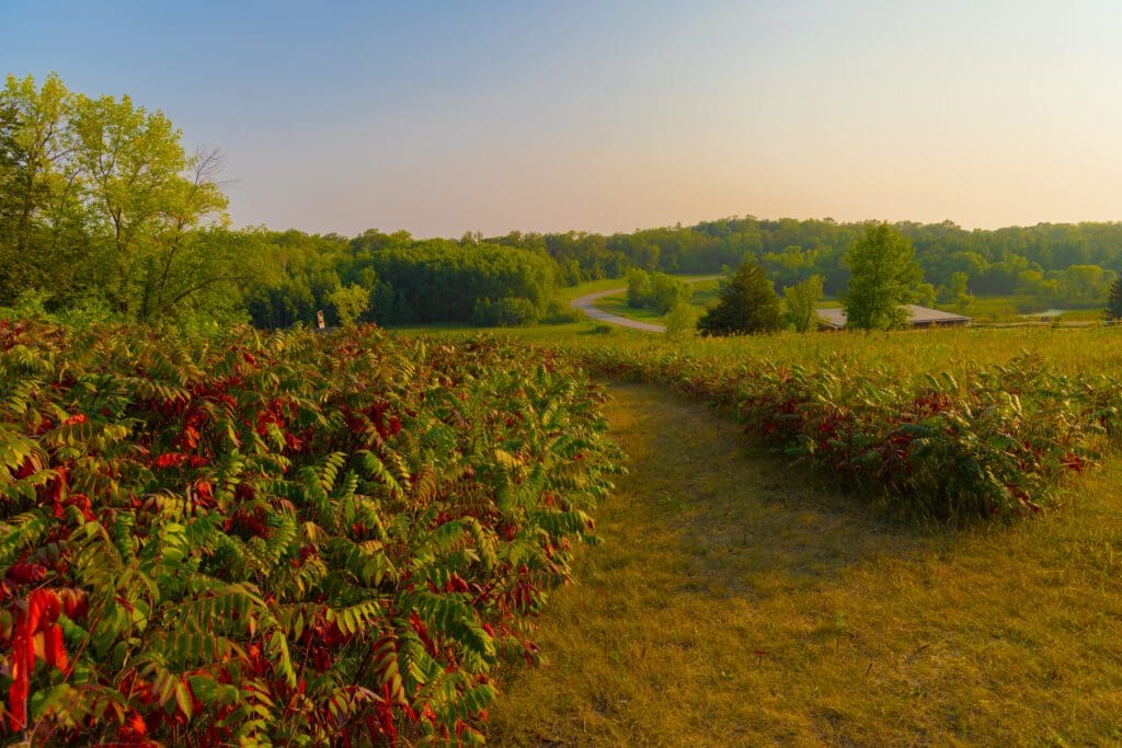 Kensington Rune Stone Park - Explore Alexandria, MN