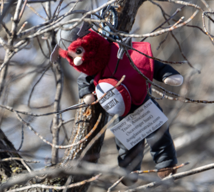 A small plush devil toy in a red outfit, resembling Little Big Ole, hangs from a tree branch holding a miniature football. A tag with printed text is attached, while the background is a tangle of bare branches awaiting your search.