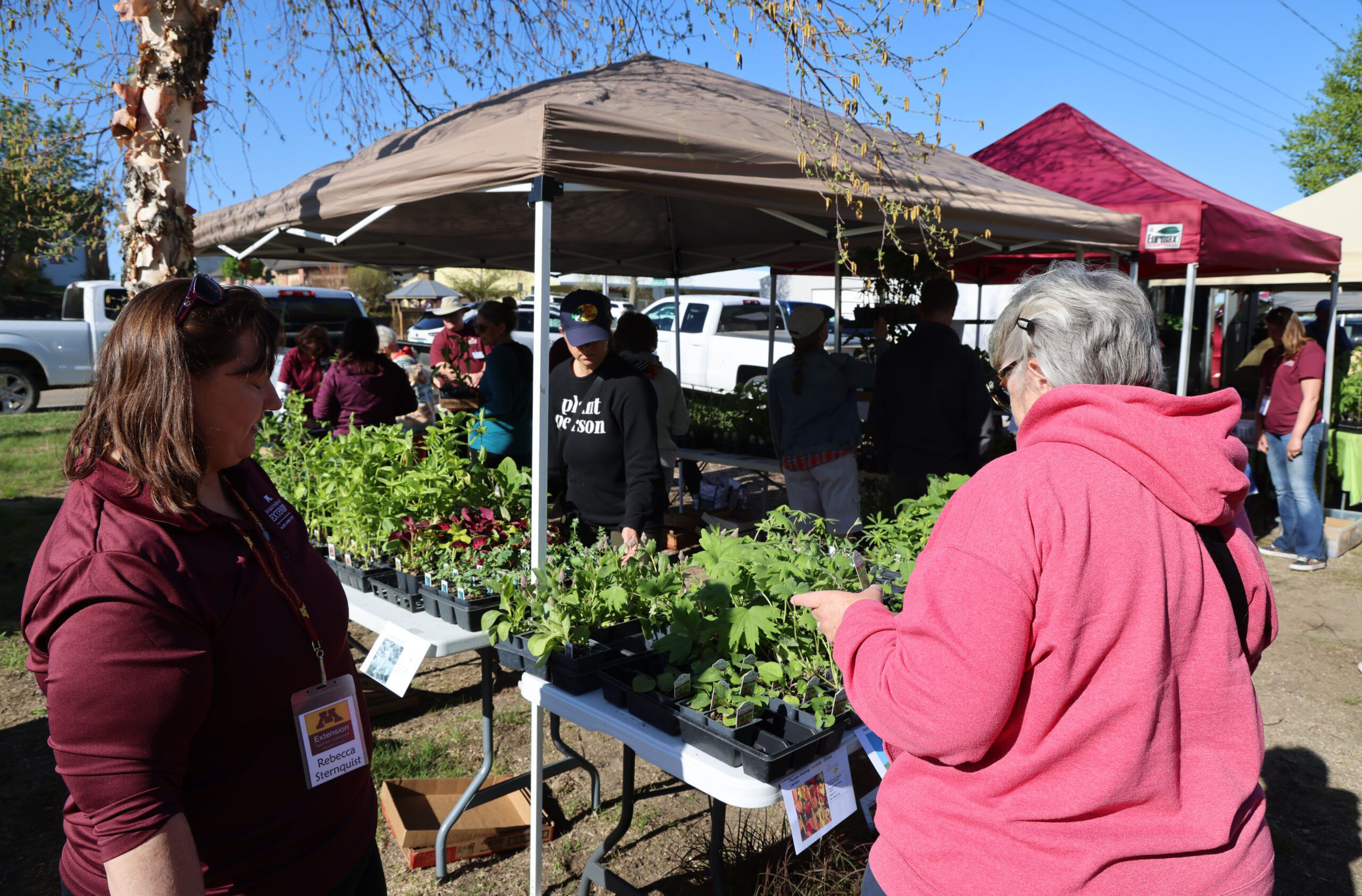 People gather at an outdoor market under tents, browsing tables with potted plants and seedlings on a sunny day. Some wear maroon shirts and badges. Pickup trucks and more booths are visible in the background.
