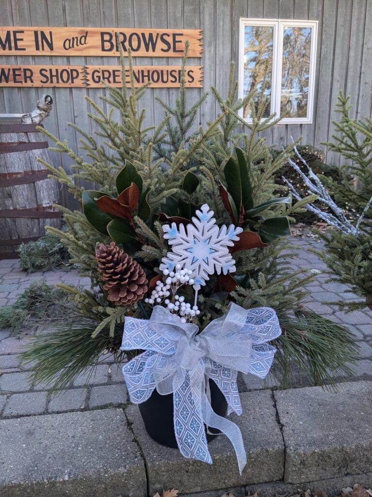 A plant with pine cones and snowflakes, perfect for adding a touch of charm to your Festive Workshop or Holiday Event.