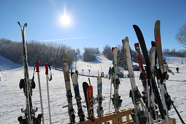 A row of cross-country skis and ski poles stand upright in the snow under a bright sun, with a snowy ski slope, trees, and people enjoying outdoor winter fun in the background. Rental options are available nearby.
