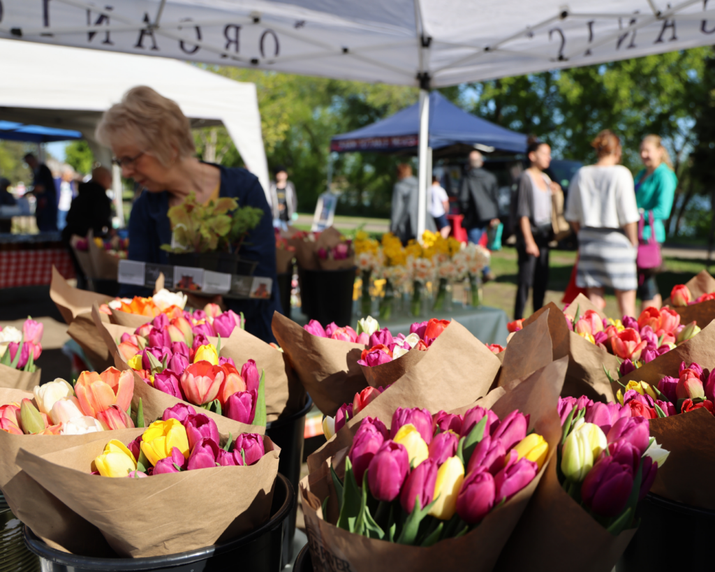 Bouquets of colorful tulips are displayed at an outdoor market stall in Alexandria. A woman stands behind the flowers arranging a bouquet, while people walk and gather under tents during Memorial Day Weekend.