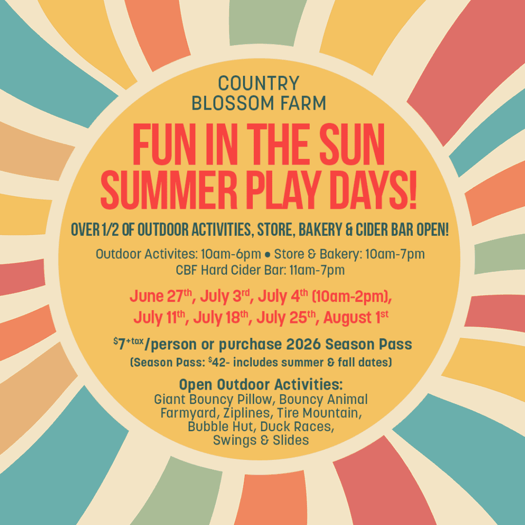 A colorful flyer for Country Blossom Farm's Summer Play Days lists dates, hours, prices, and activities like bounce pillows, farmyard fun, zip lines, trike track, bubble hut, duck races, swings, and slides—inviting families to enjoy every Summer Play Day at Country Blossom Farm.