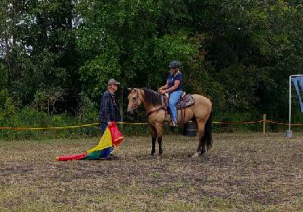 A person on horseback at Sunrise Farms watches another holding a colorful tarp on a grassy field with trees in the background—perfect for those searching for horseback riding near me.