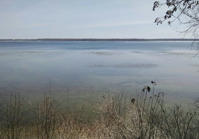 A calm lake stretches into the distance under a pale sky, its surface still touched by lingering ice, bordered by leafless shrubs and bare tree branches in the foreground, suggesting early spring or late autumn.
