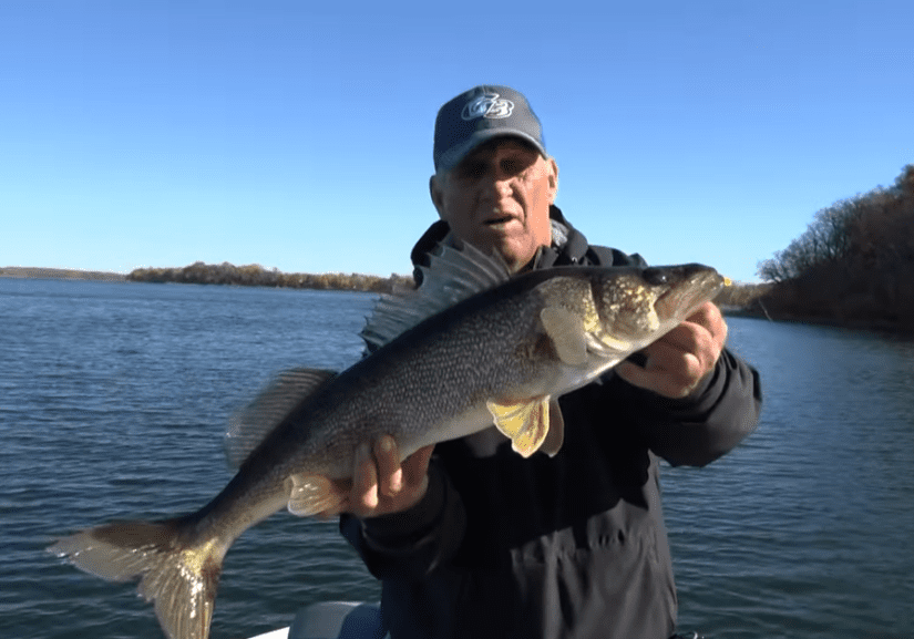 A person on a boat holds up a large fish with both hands on a sunny day, enjoying successful open water fishing with a lake and trees visible in the background.