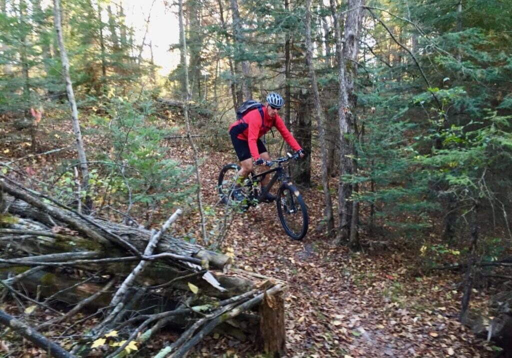 A person wearing a red jacket and helmet rides a mountain bike along a narrow, leaf-covered trail through a dense, wooded forest in the Lakes Area—an ideal spot for socially distant summer activities. Fallen branches line the left side of the path.