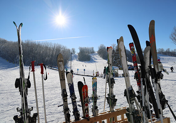 A row of cross-country skis and ski poles stand upright in the snow under a bright sun, with a snowy ski slope, trees, and people enjoying outdoor winter fun in the background. Rental options are available nearby.
