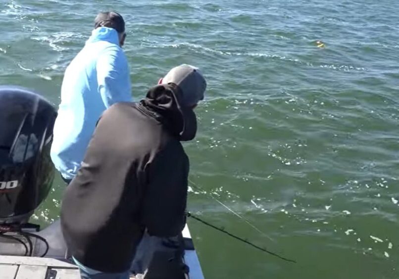 Two people on a boat, both wearing hats and jackets, are fishing the Midwest on a sunny day. They stand at the edge of the boat with rods in hand, peering into the water for Basin Trolling Walleyes as waves ripple across the lake's surface.