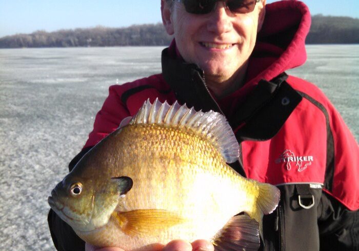 A smiling person wearing sunglasses and a cap holds up a large panfish while standing on a frozen lake, dressed in winter clothing with a clear blue sky in the background, capturing the thrill of early spring ice fishing.