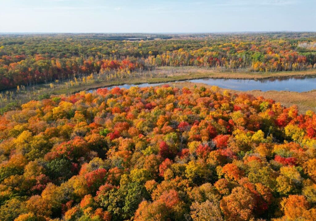 Aerial view of a forest in autumn, alive with vibrant red, orange, and yellow foliage. A calm lake is visible in the background under a blue sky, showcasing the stunning color found in Alexandria parks.