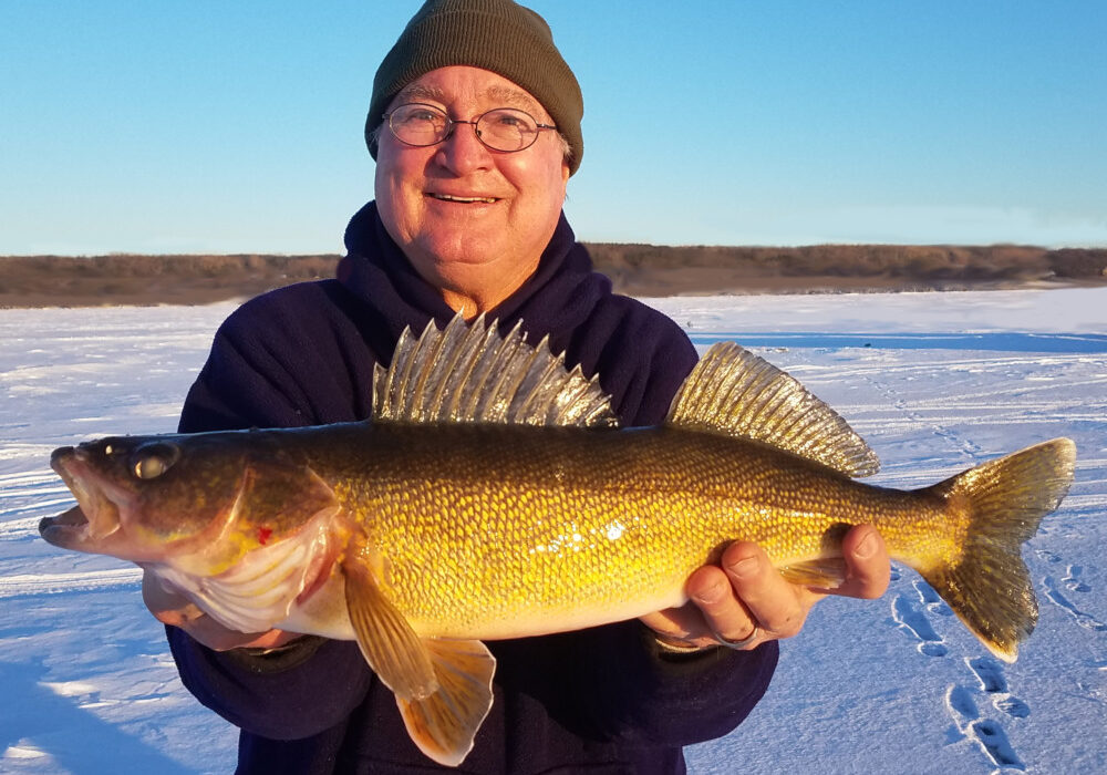 A person wearing glasses, a winter hat, and a dark sweater is smiling after a successful fishing trip, holding a large yellow fish with spiky fins while standing on a snowy landscape under a clear blue sky.