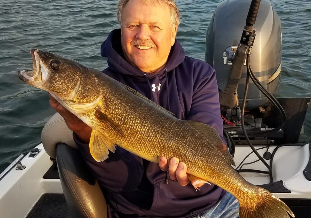 A smiling man in a navy hoodie sits on a boat, holding a large walleye fish with both hands—a perfect moment during summer fishing in Alexandria, MN. The background shows water and part of the boat's motor.