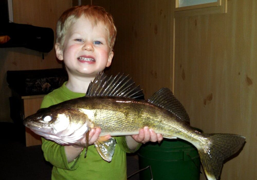 A smiling young child with blond hair holds a large late season walleye in Alexandria, MN with both hands inside a wooden-walled room, wearing a green shirt and standing in front of a green bucket.