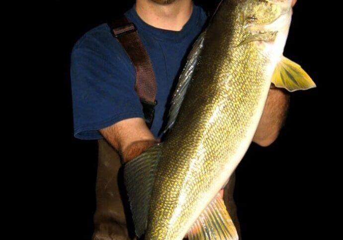A smiling man wearing a headlamp and waders holds a large fish, likely caught at night during the 2015 Walleye Opener, against a completely black background.
