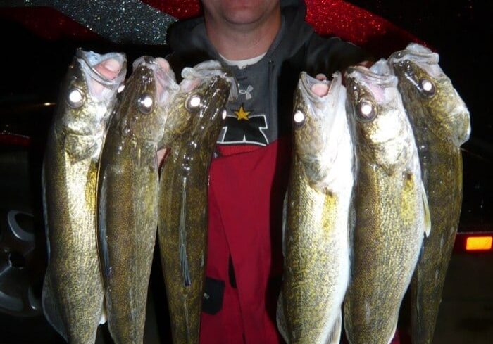 A smiling person in a cap and red jacket holds up six large fish, likely from a successful day out. The scene suggests a memorable catch, perfect for a May 2015 walleye fishing report, with the background showing a boat or vehicle.