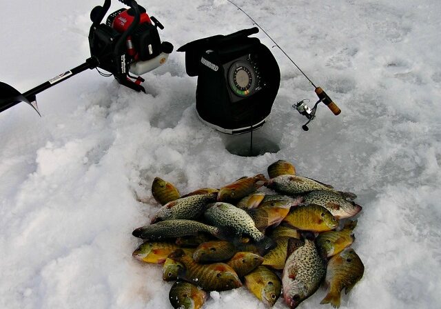 A pile of various fish lies on ice next to an ice fishing hole, showcasing the rewards of late season ice fishing. Nearby, an ice auger, a small fishing rod, and a sonar fish finder rest amid the snowy surroundings.