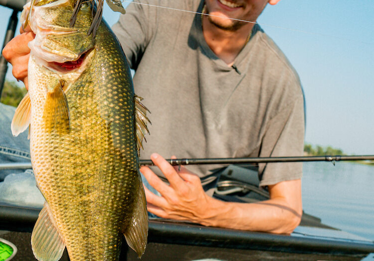 A person in a boat holds up a large bass fish in one hand, smiling at the camera after a fishing success. The person wears a hat and gray shirt, with open water and trees visible in the background.