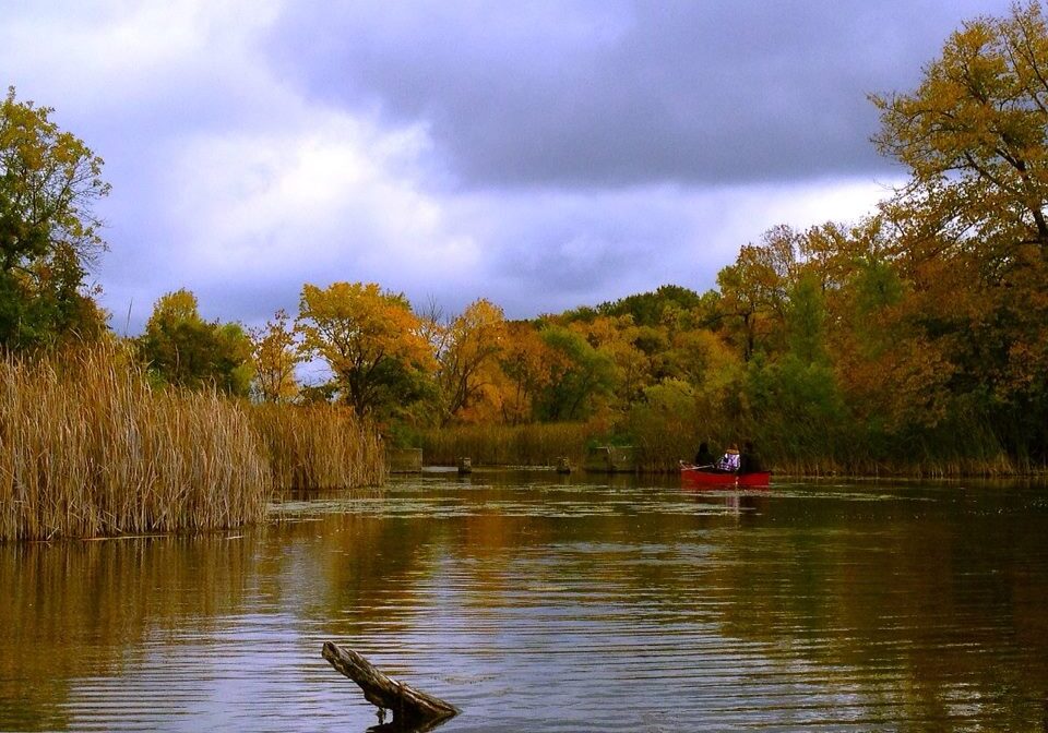 A red canoe with people inside floats on a calm Chain of Lakes, surrounded by tall reeds and autumn-colored trees under a cloudy sky.
