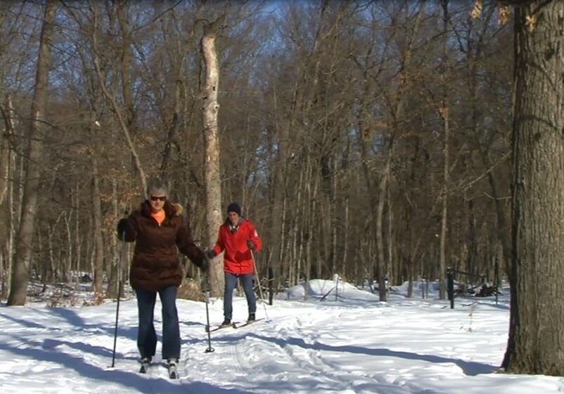 Two people enjoy Alexandria's winter activities in the great outdoors, cross-country skiing on a snowy trail through tall, leafless trees beneath a clear blue sky. The person in front wears a brown jacket and sunglasses; the one behind wears red.