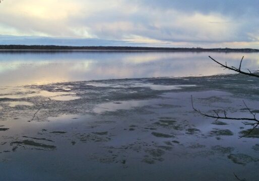 A calm lake partially covered with melting ice reflects a cloudy sky at sunset, hinting at an Ice Free In Alexandria moment. Bare tree branches frame the scene, and distant trees line the horizon.