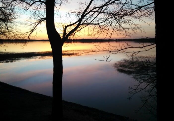 Silhouette of bare trees in front of a calm lake at sunset, where crappie often swim beneath the soft orange, pink, and blue sky that reflects on the water's surface.