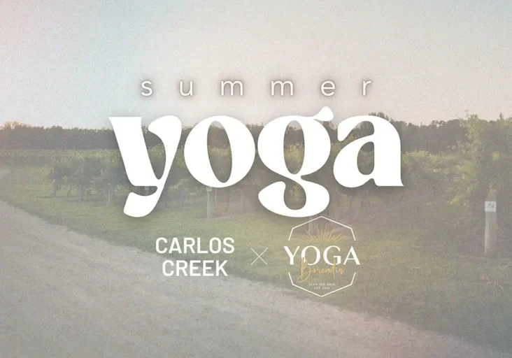 A sunset-lit path runs beside the green vineyard at Carlos Creek. Overlaid white text reads: "Summer Yoga, Carlos Creek x Yoga Synergy." The calm scene invites you to join this relaxing outdoor summer yoga event.