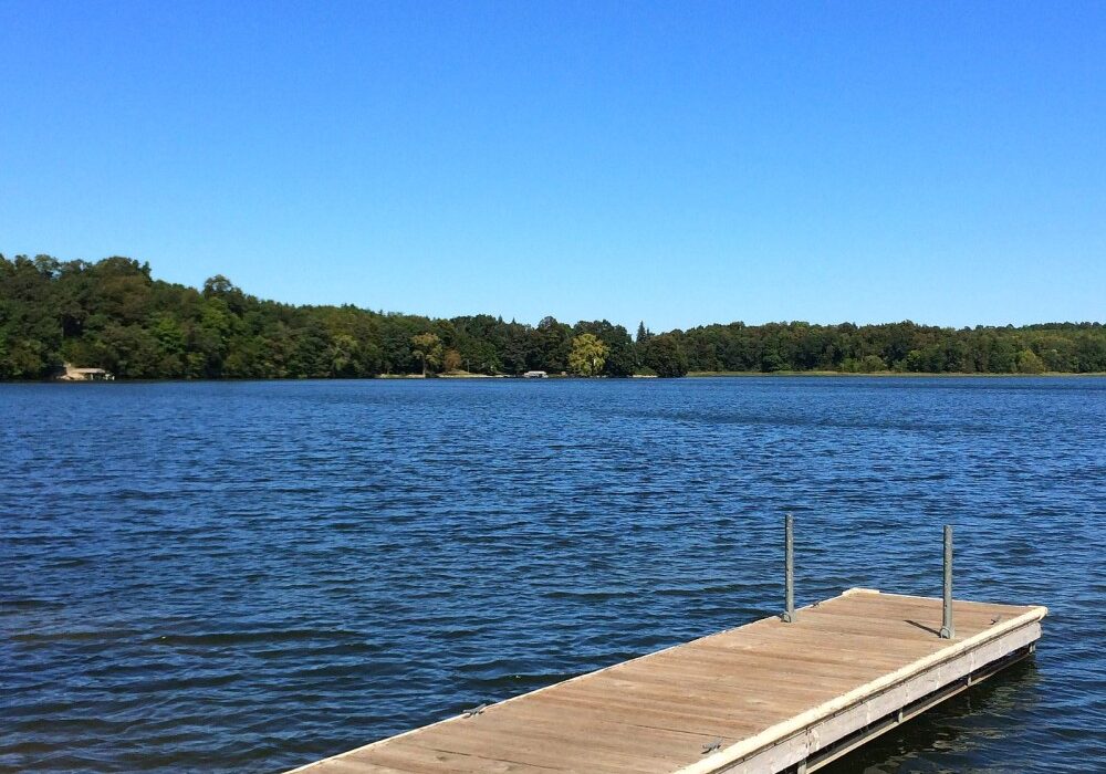 A wooden dock extends over the calm blue waters of Lobster Lake, with trees and green foliage lining the distant shore under a clear, bright blue sky—perfect for Alexandria Lakes fishing.